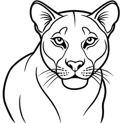Obraz premium Detailed Line Art Illustration of a Cougar