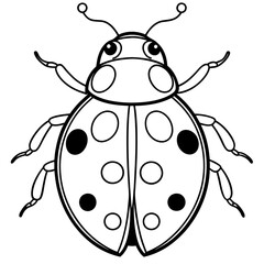 Obraz premium Detailed Line Art of a Ladybug