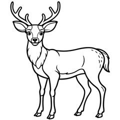 Fototapeta premium Detailed Line Art of a Majestic Deer
