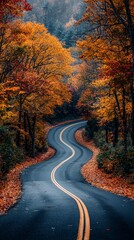 Obraz premium Highway road through the autumn forest. Autumn forest road. Road in autumn forest. Autumn road way