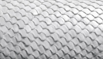 fish scales skin close up background textured backdrop asset