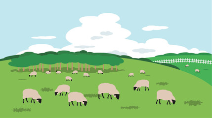 牧場を放牧しているサフォーク種の羊の風景画