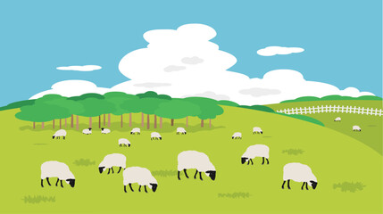 牧場を放牧しているサフォーク種の羊の風景画