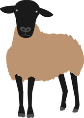立っているサフォーク種の羊の正面画イラスト