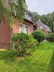 Vertical background photo with an modern mansion with green bushes.