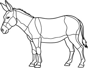 Donkey Outline Vector Illustration on White Background