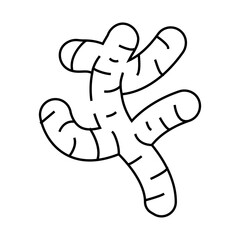 ginger root line icon vector. ginger root sign. isolated contour symbol black illustration