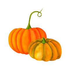 Juicy green and orange clip art pumpkin, watercolor realistic botanical illustration, for prints, invitations, cards for the autumn holidays Thanksgiving, Halloween, harvest festival, farmer's market