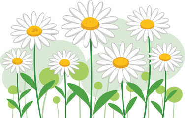 Vector illustration of blooming daisies in a green garden