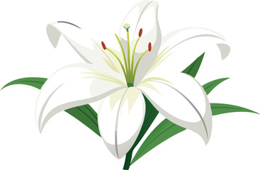 Obraz premium A realistic vector illustration of a blooming white lily with green leaves.