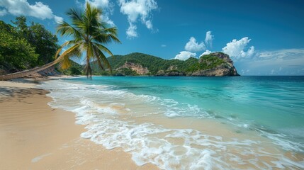 Fototapeta premium idyllic tropical beach with white sand and palm tree
