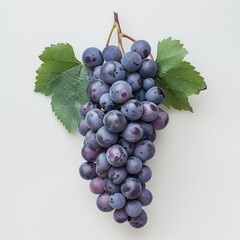 Fototapeta premium bunch of grapes