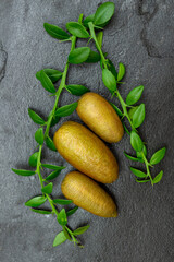 Ripe burgundy oblong citrus fruits with green sprigs on the black slate slab, close-up. Australian finger lime plant indoor growing. Microcitrus australasica, Faustrimedin