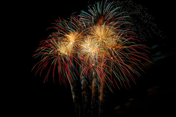 A stunning fireworks display unfolds in the night sky, showcasing vibrant explosions of color and light accompanied by spectacular patterns.