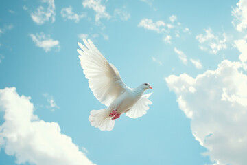 Fototapeta premium A serene white dove soars gracefully through a clear blue sky, symbolizing peace and hope, with fluffy white clouds framing its tranquil flight path.