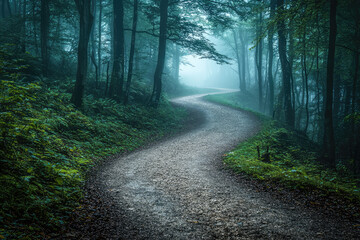 Naklejka premium A winding path through a dense, misty forest, evoking calm and mystery as it disappears into the ethereal, foggy distance of the woods.