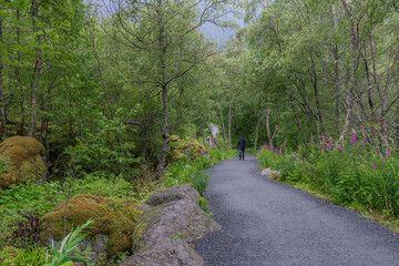 Briksdal Glacier, Norway. Briksdalsbreen is part of the Jostedal Glacier National Park