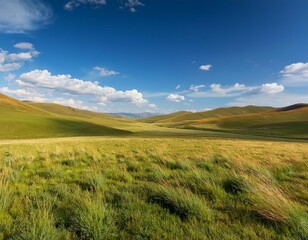 Obraz premium A wide shot of a grassy plain with rolling hills in the distance on a sunny day with a clear blue sky and white clouds