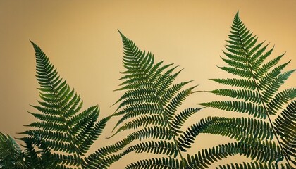 Naklejka premium A close-up photo of green fern silhouettes on a tan background, with a vintage feel