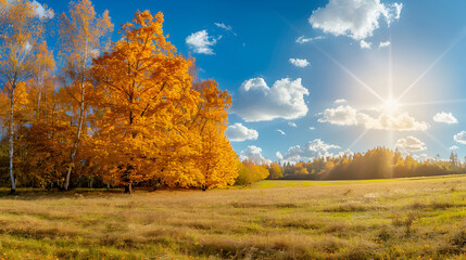 Fototapeta premium Gorgeous, well-lit panoramic scene of autumn nature