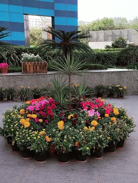 Boutique of flowers 