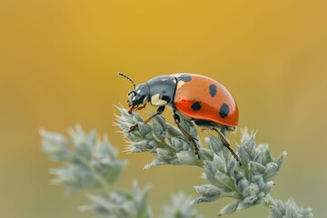 A Ladybug's Journey On A Sun-Kissed Twig. Beautiful simple AI generated image in 4K, unique.