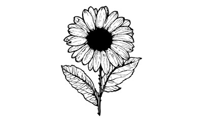 black and white flower