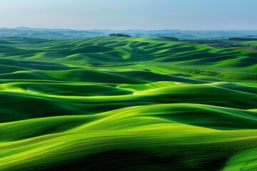 Obraz premium A bird's-eye view of the Palouse, with rolling green hills and golden wheat fields stretching to the horizon. Beautiful simple AI generated image in 4K, unique.