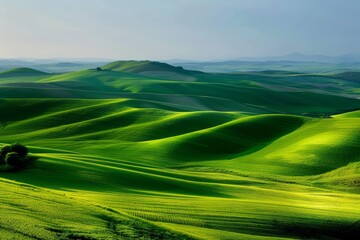 Obraz premium Combine harvester working on a wheat field - aerial view. Season of gathering crops. Drone flying over the field.. Beautiful simple AI generated image in 4K, unique.