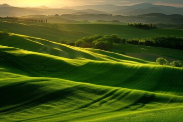 Obraz premium A bird's-eye view of the Palouse, with rolling green hills and golden wheat fields stretching to the horizon. Beautiful simple AI generated image in 4K, unique.