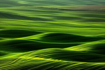 beautiful symmetrical patterns and a golden glow in a field of post-harvest sprayed wheat stubble, Wiltshire UK. Beautiful simple AI generated image in 4K, unique.