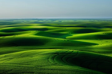 Obraz premium empty country road with field and rural landscape background on a sunny day -. Beautiful simple AI generated image in 4K, unique.