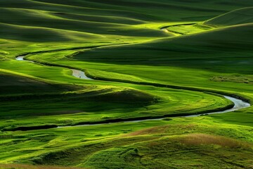 empty country road  with field and rural landscape background on a sunny day -. Beautiful simple AI generated image in 4K, unique.