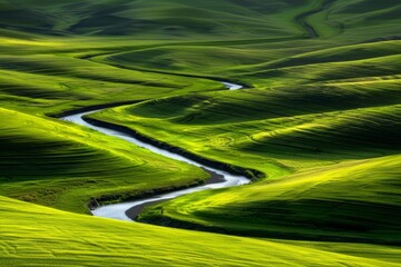 empty country road  with field and rural landscape background on a sunny day -. Beautiful simple AI generated image in 4K, unique.