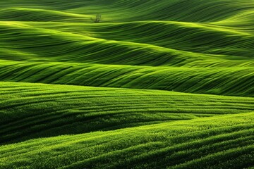 Fototapeta premium empty country road with field and rural landscape background on a sunny day -. Beautiful simple AI generated image in 4K, unique.