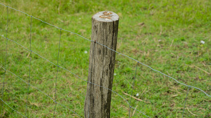 Close-up of a wooden fence post with wire mesh on a grassy field, symbolizing rural security and agriculture