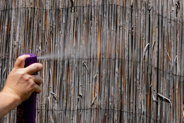 A hand spraying insect repellent onto a bamboo fence during summer to prevent mosquito infestation...