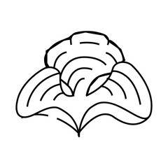 padina seaweed line icon vector. padina seaweed sign. isolated contour symbol black illustration