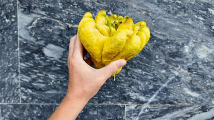 A Caucasian hand holding a Buddha's hand citron against a marble background, symbolizing unusual fruits or Chinese New Year celebrations