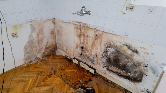 Severe mold and water damage in a neglected kitchen corner, illustrating home maintenance issues and health risks