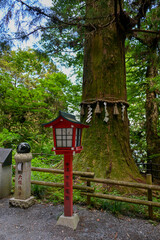Red Lanterns of Mount Takao in Japan