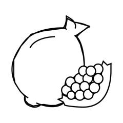 pomegranate fruit line icon vector. pomegranate fruit sign. isolated contour symbol black illustration
