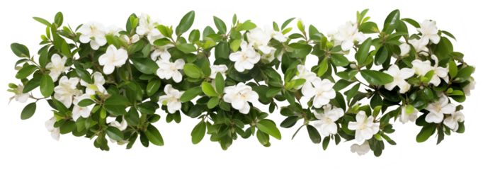 Dog-rose Blooming Bush. Landscape Design Plan Template. Top Plan View. Ai Generative	