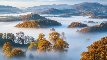Naklejka premium Misty autumn landscape with colorful trees in mountain valleys