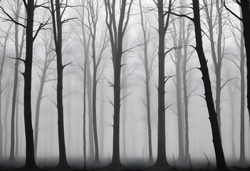 Bare trees in a foggy forest , with the trunks and branches visible against the mist