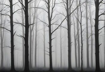 Obraz premium Bare trees in a foggy forest , with the trunks and branches visible against the mist