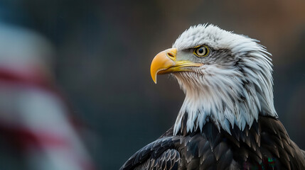 Obraz premium A photographic image of a majestic bald eagle, sharp focus on the eagle's head and beak, with piercing eyes, American flag blurred in the background