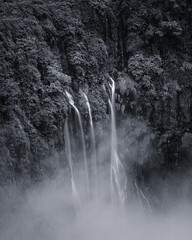 waterfall in the forest