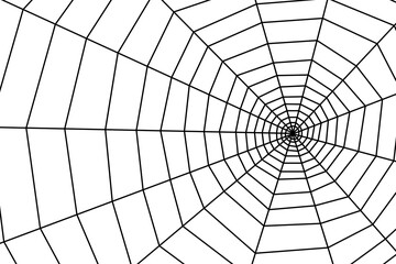 Obraz premium Cobweb on white background. Vector background with cobweb
