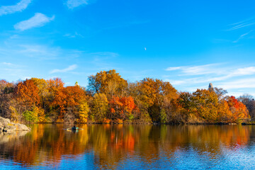 Central Park in autumn with colorful fall trees. Autumn nature. New York City Central Park with...